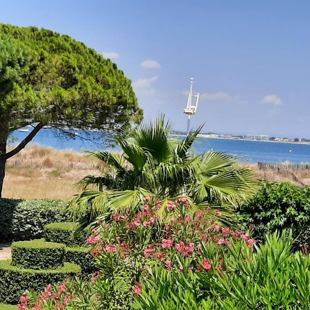 Studio Double Cabine Vu Mer Le Grau-du-Roi Dış mekan fotoğraf