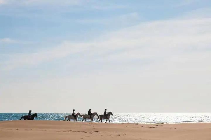 Studio Double Cabine Vu Mer Le Grau-du-Roi Dış mekan fotoğraf